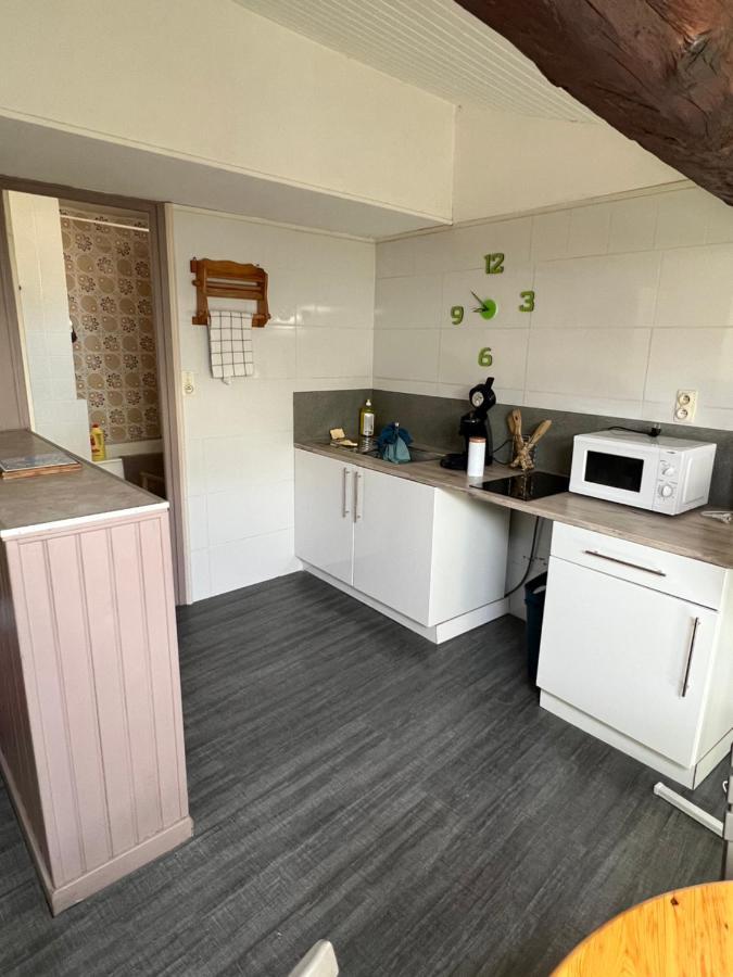 Appartement Au Coeur De Каркассон Экстерьер фото